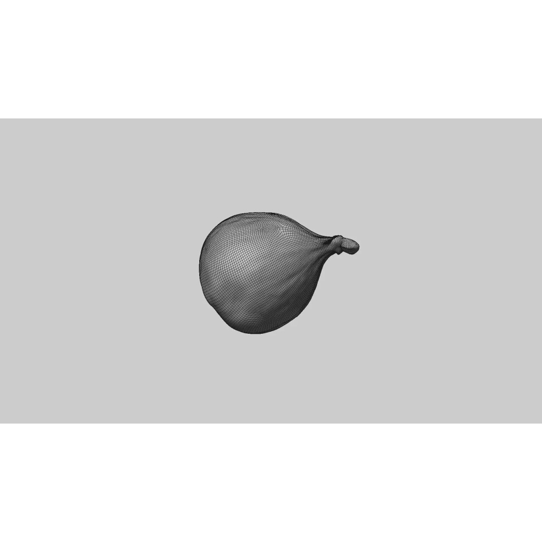 Fig 3D Model – Realistic High Poly Asset with PBR Textures - View 10