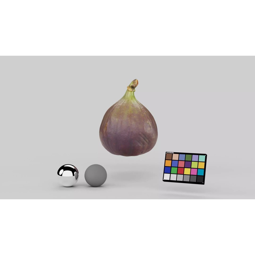 Fig 3D Model – Realistic High Poly Asset with PBR Textures - View 2