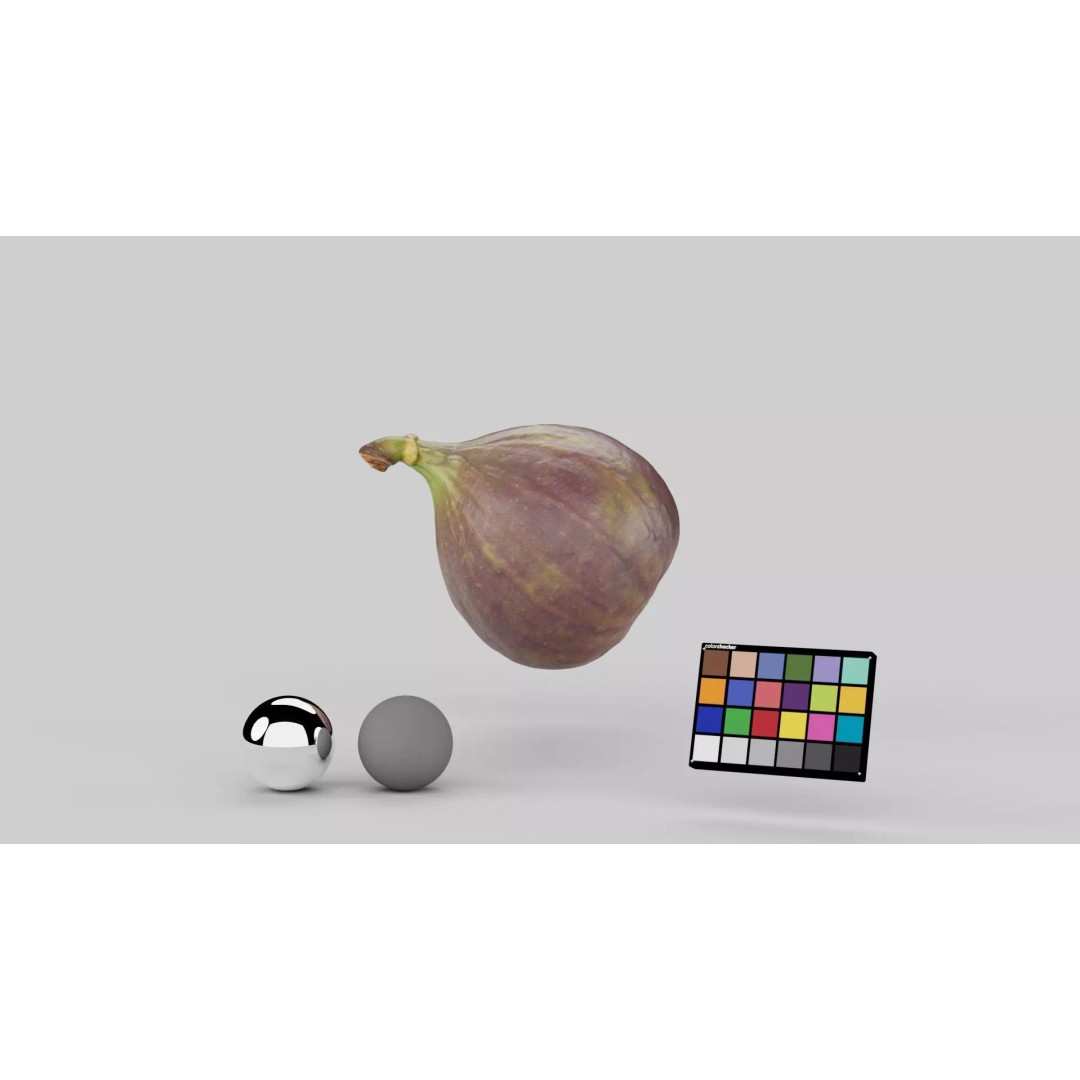 Fig 3D Model – Realistic High Poly Asset with PBR Textures - View 3