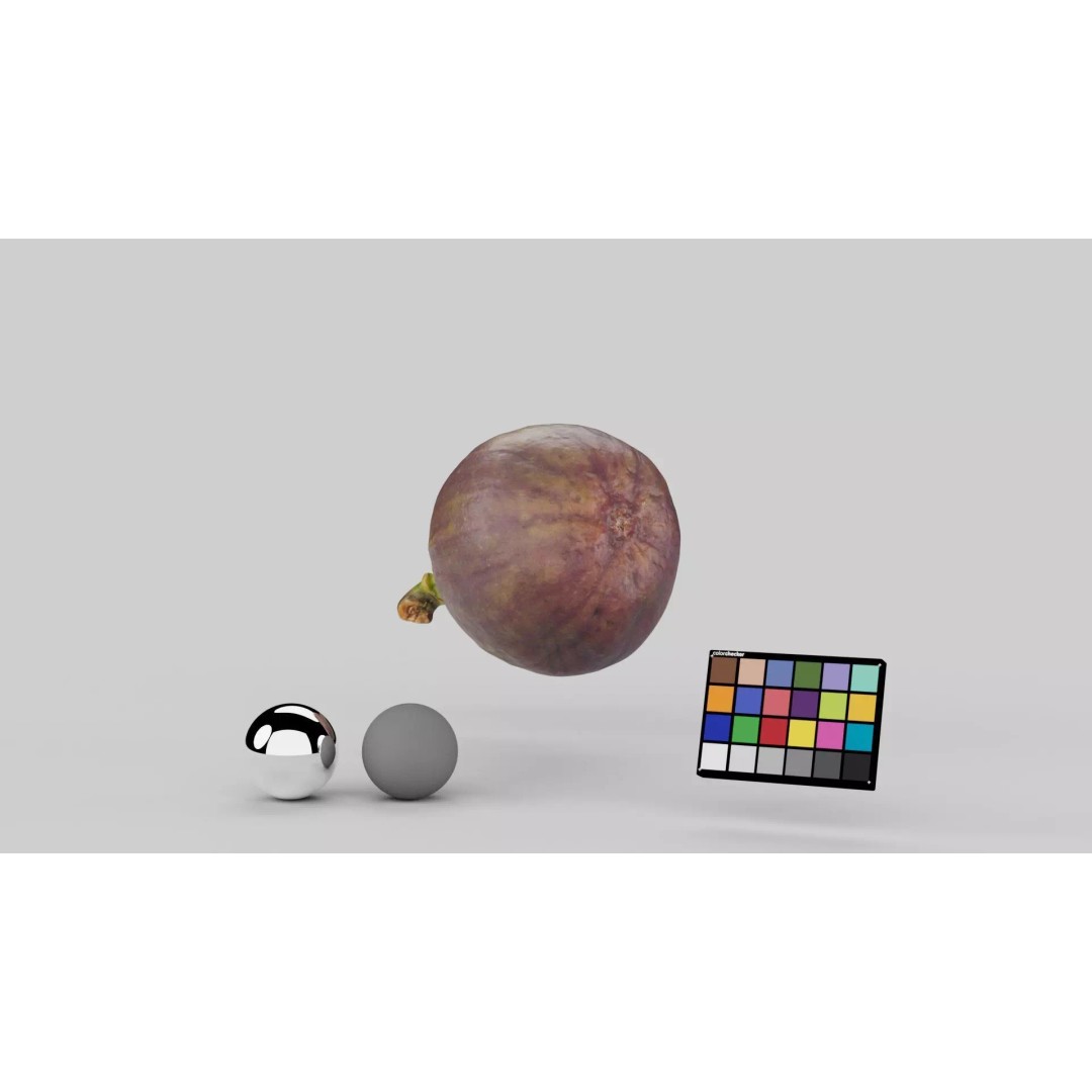 Fig 3D Model – Realistic High Poly Asset with PBR Textures - View 4