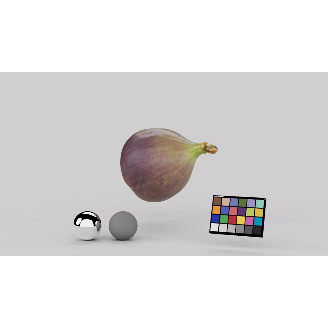 Fig 3D Model – Realistic High Poly Asset with PBR Textures - View 5