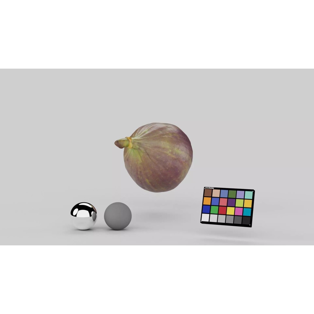 Fig 3D Model – Realistic High Poly Asset with PBR Textures - View 6