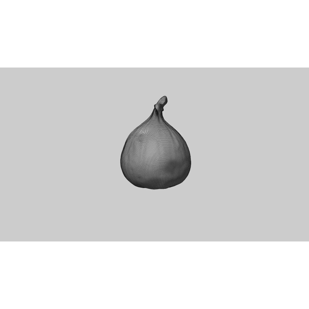 Fig 3D Model – Realistic High Poly Asset with PBR Textures - View 7