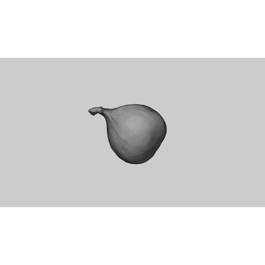 Fig 3D Model – Realistic High Poly Asset with PBR Textures - View 8