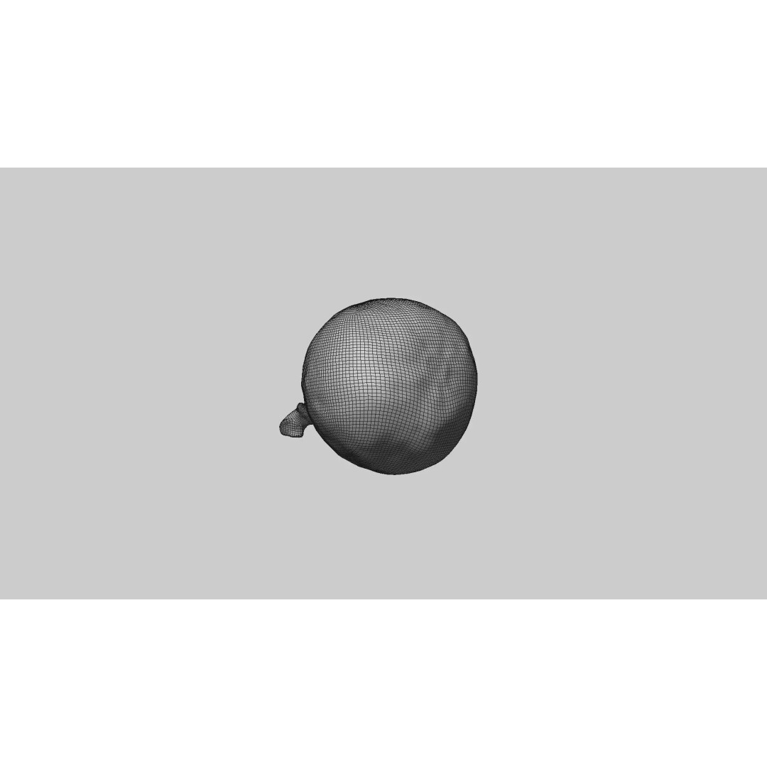 Fig 3D Model – Realistic High Poly Asset with PBR Textures - View 9