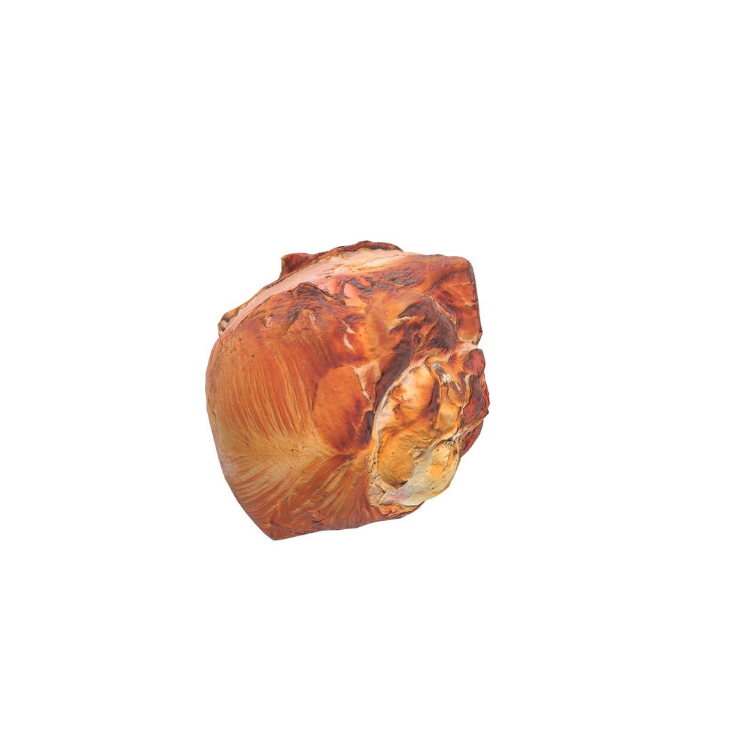 Grilled Chicken Leg Piece 3D Model – Low Poly PBR Game Asset, FBX - View 12
