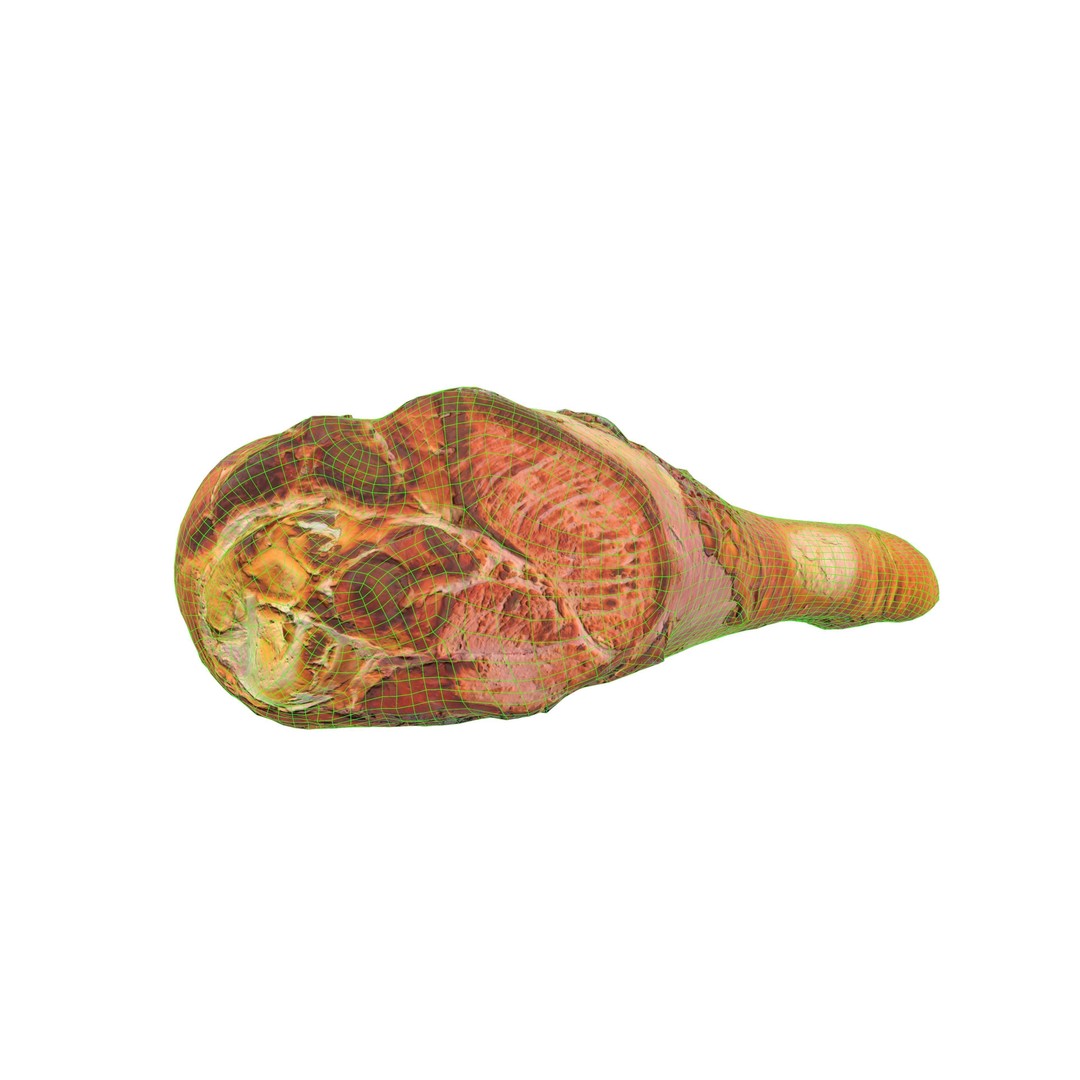 Grilled Chicken Leg Piece 3D Model – Low Poly PBR Game Asset, FBX - View 17