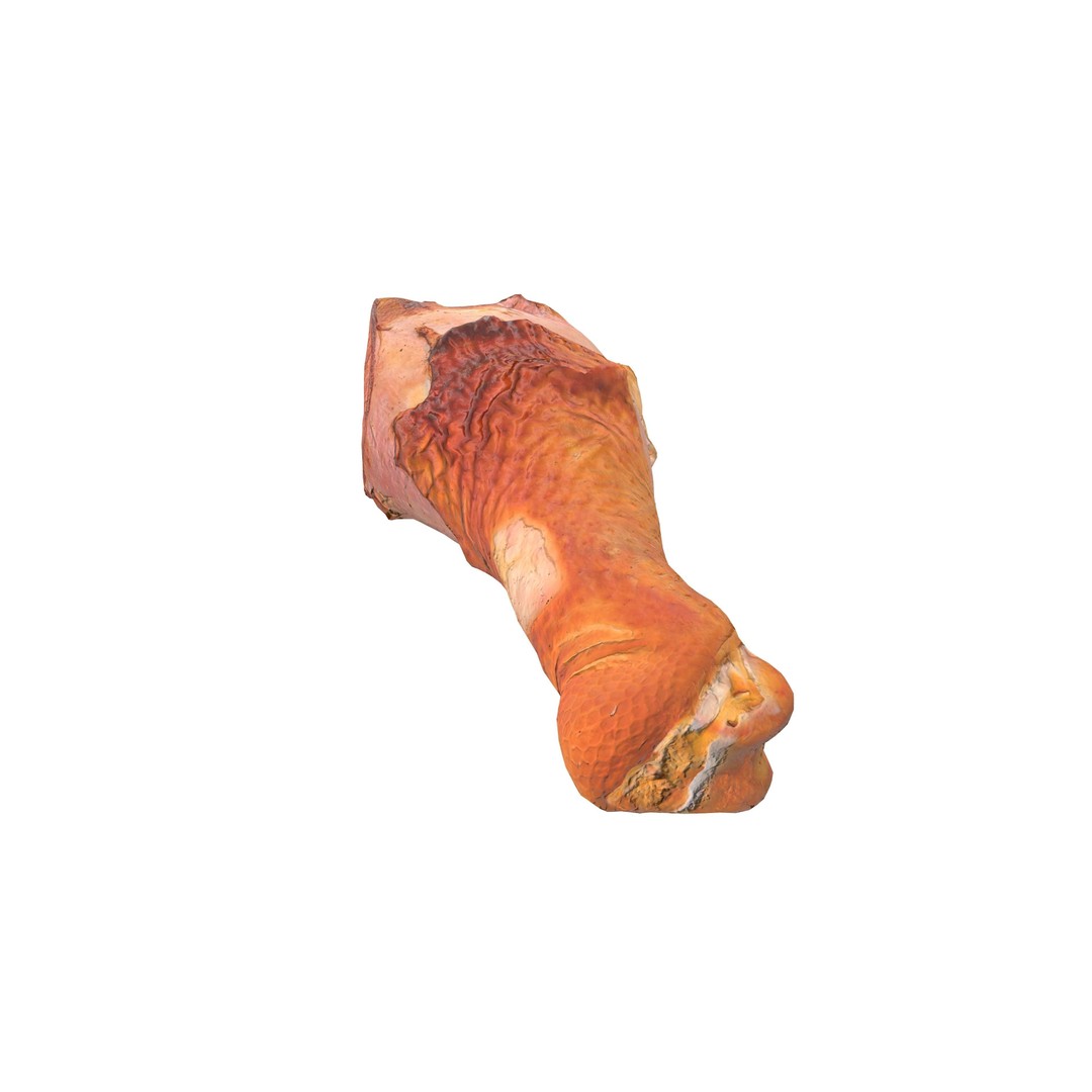 Grilled Chicken Leg Piece 3D Model – Low Poly PBR Game Asset, FBX - View 6