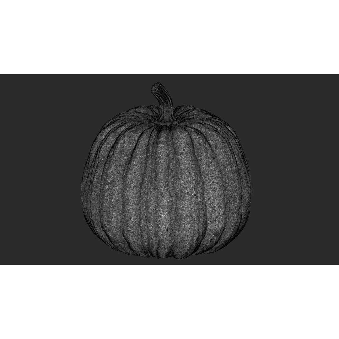 Realistic Pumpkin 3D Model – High Poly PBR Asset, OBJ & Blender - View 11