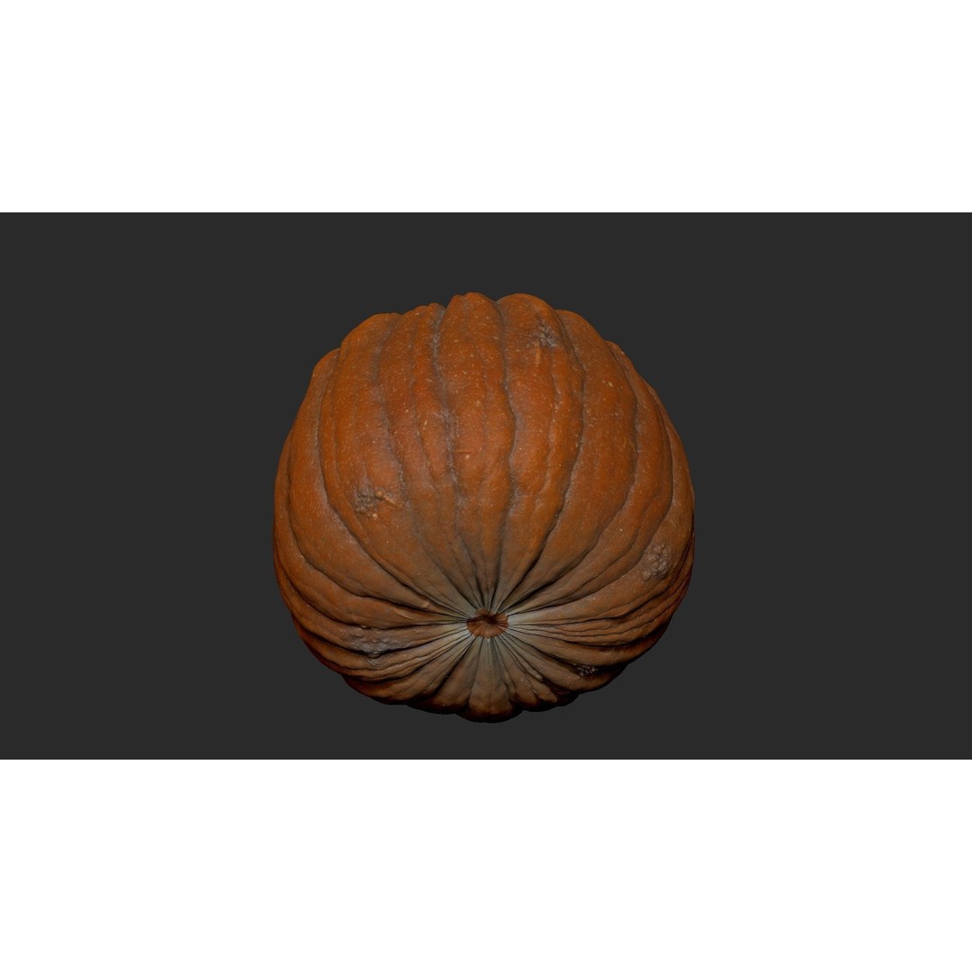 Realistic Pumpkin 3D Model – High Poly PBR Asset, OBJ & Blender - View 12