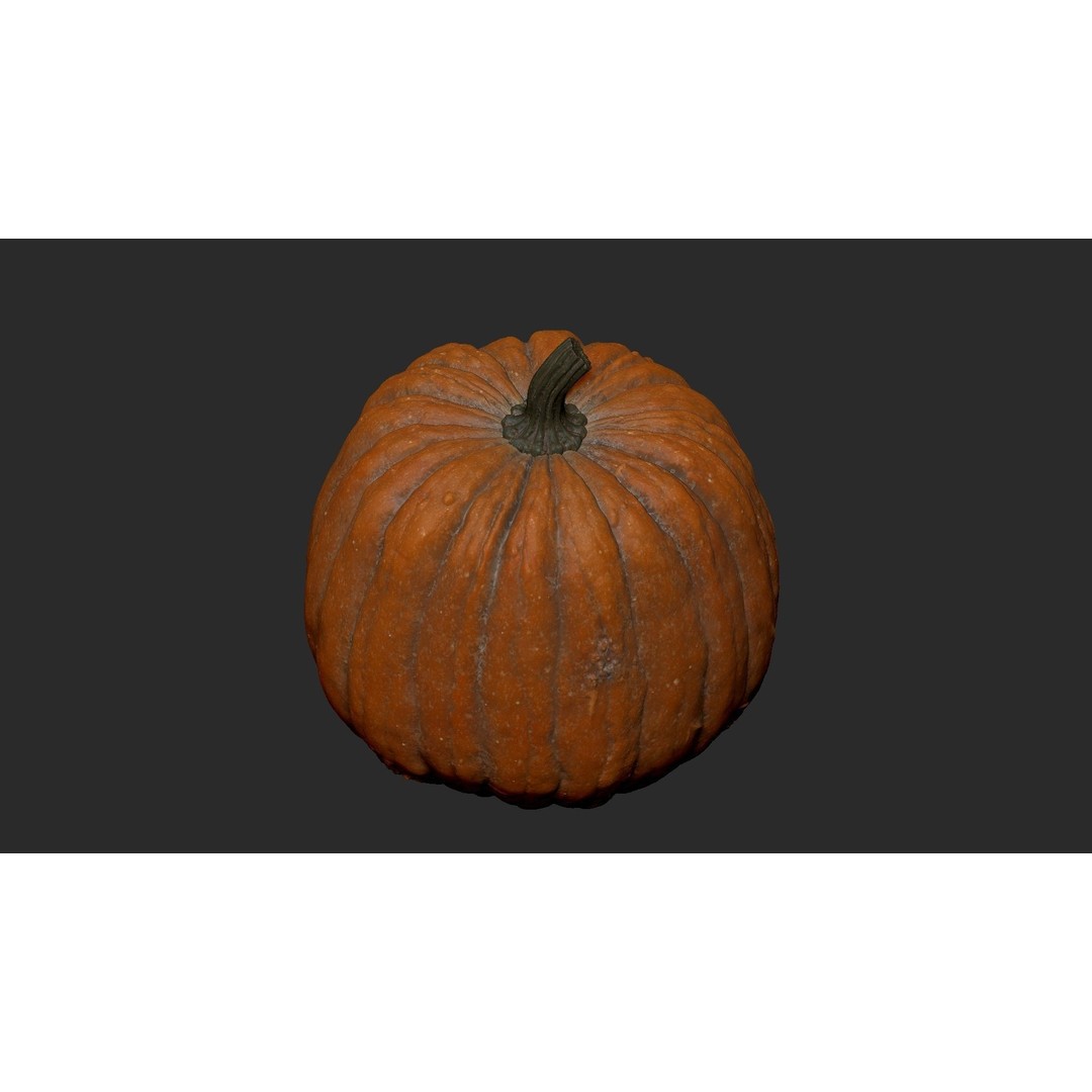 Realistic Pumpkin 3D Model – High Poly PBR Asset, OBJ & Blender - View 13