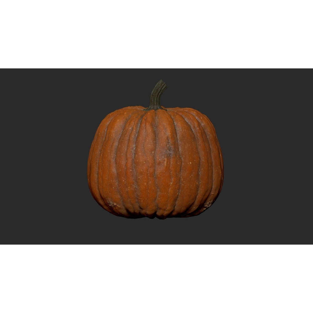 Realistic Pumpkin 3D Model – High Poly PBR Asset, OBJ & Blender - View 14