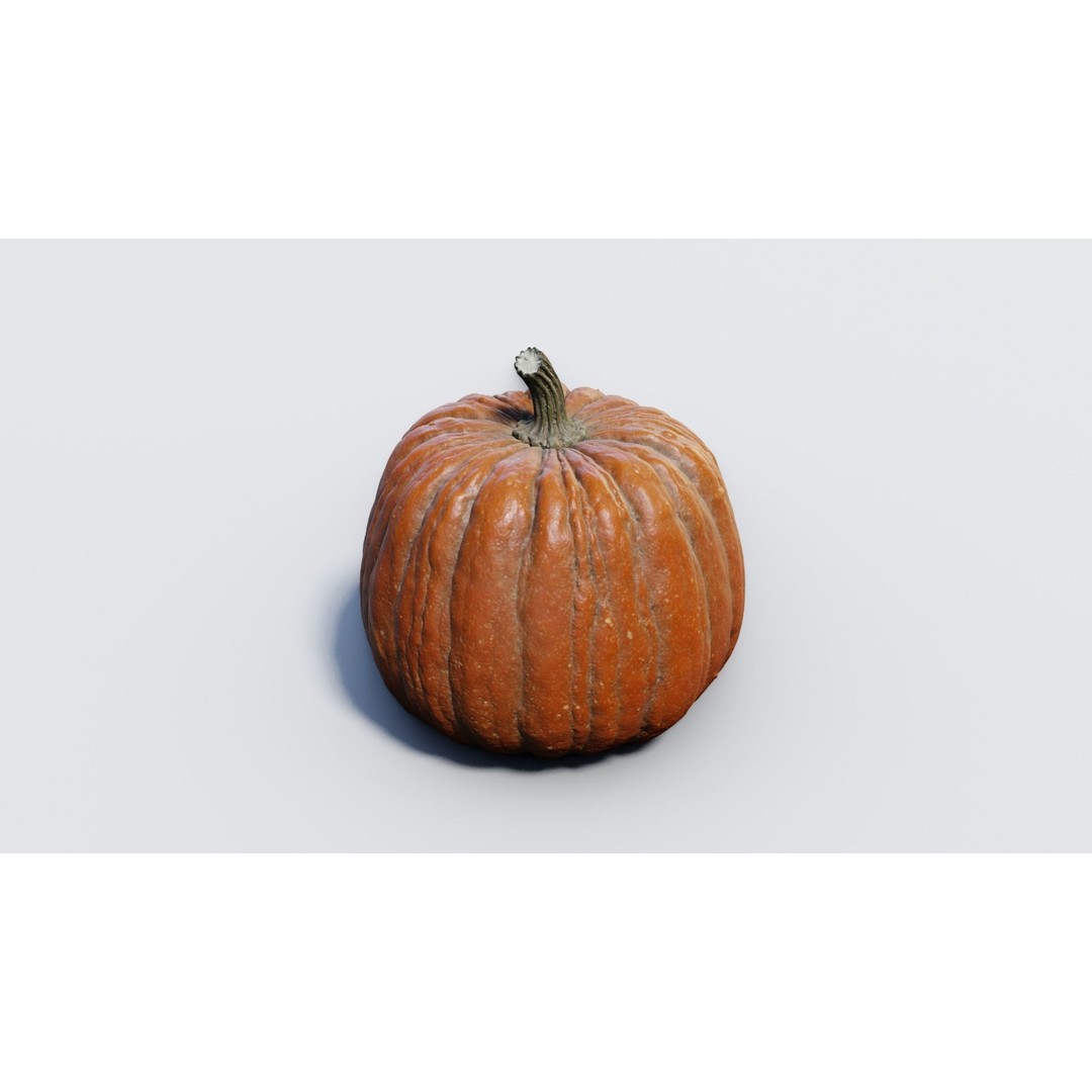 Realistic Pumpkin 3D Model – High Poly PBR Asset, OBJ & Blender - View 19