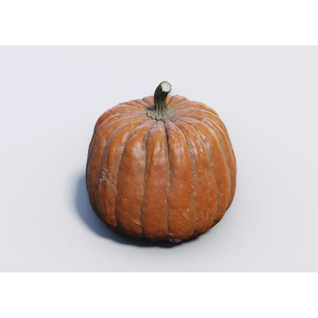 Realistic Pumpkin 3D Model – High Poly PBR Asset, OBJ & Blender - View 2