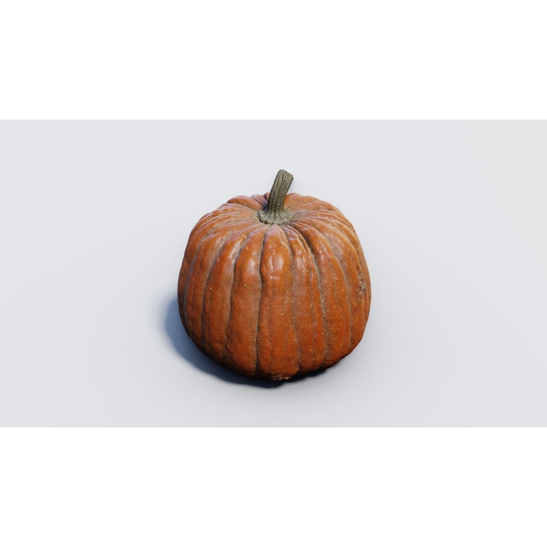 Realistic Pumpkin 3D Model – High Poly PBR Asset, OBJ & Blender - View 20