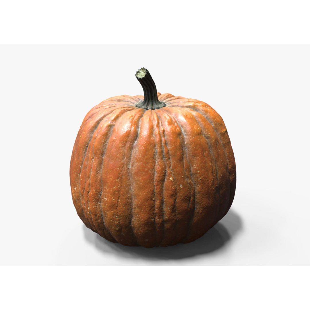 Realistic Pumpkin 3D Model – High Poly PBR Asset, OBJ & Blender - View 3