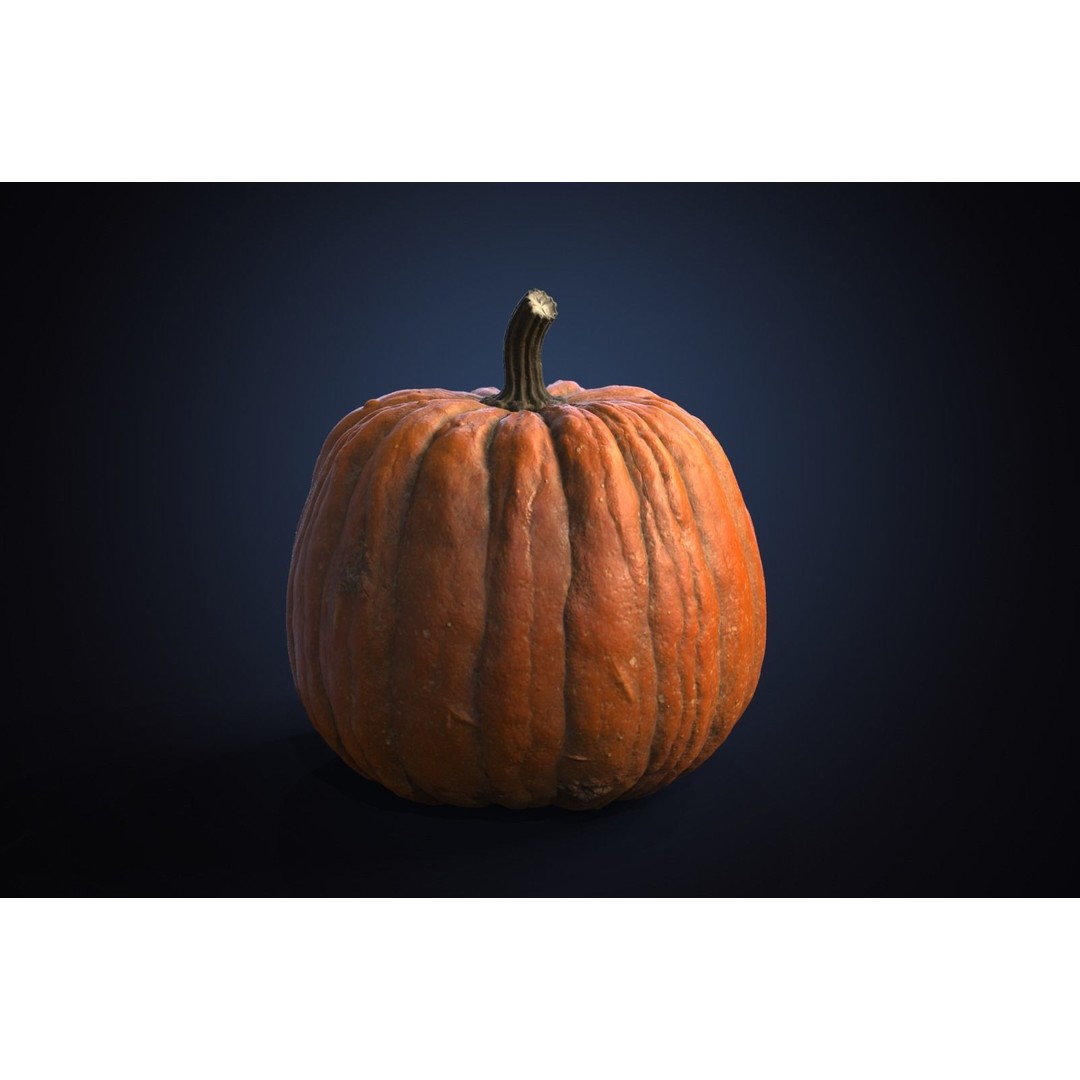 Realistic Pumpkin 3D Model – High Poly PBR Asset, OBJ & Blender - View 4