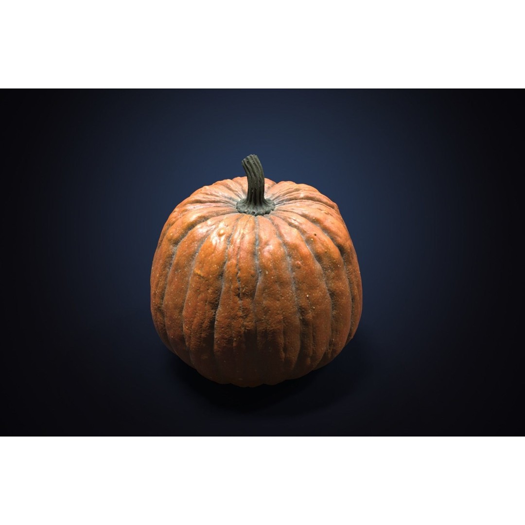 Realistic Pumpkin 3D Model – High Poly PBR Asset, OBJ & Blender - View 5