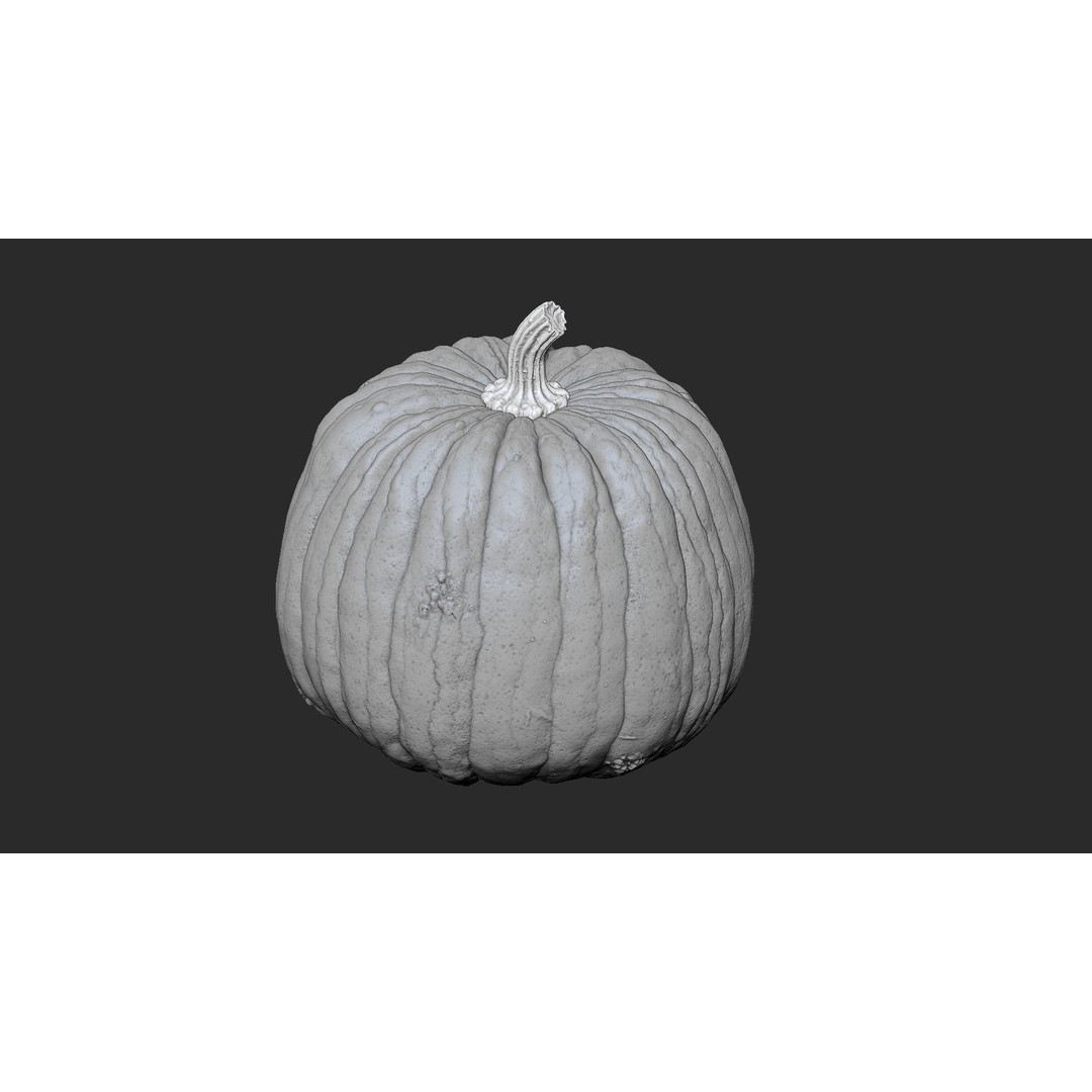 Realistic Pumpkin 3D Model – High Poly PBR Asset, OBJ & Blender - View 6