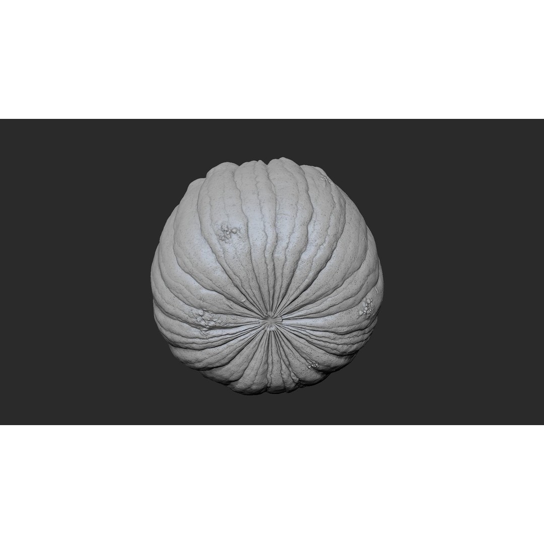 Realistic Pumpkin 3D Model – High Poly PBR Asset, OBJ & Blender - View 7