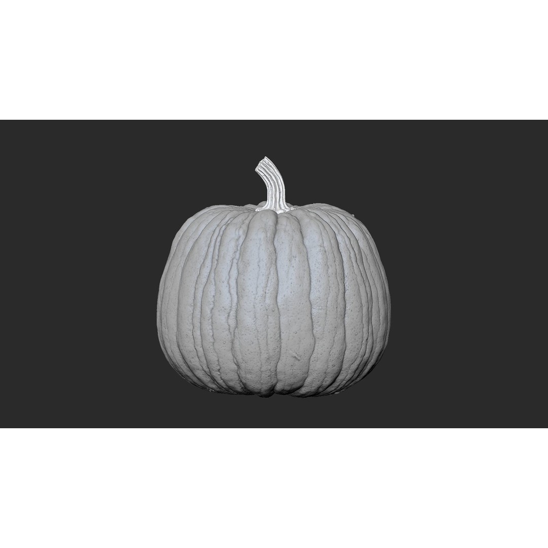 Realistic Pumpkin 3D Model – High Poly PBR Asset, OBJ & Blender - View 8