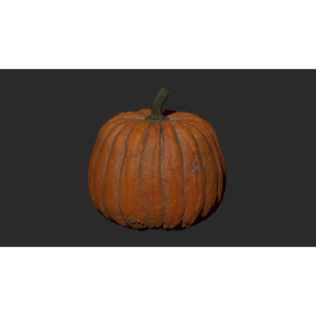 Realistic Pumpkin 3D Model – High Poly PBR Asset, OBJ & Blender - View 9