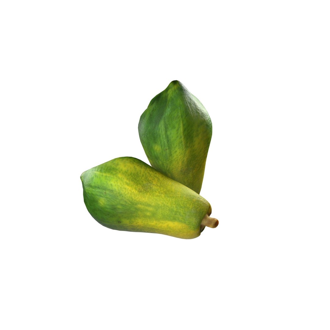 Papaya Fruit 3D Model – Low Poly Game Asset, Blender, FBX, OBJ - View 11