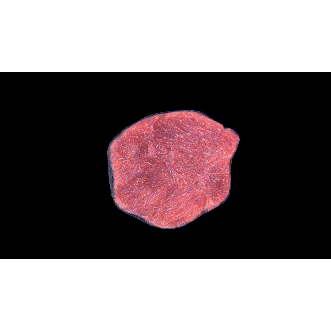 Beef Loin Medallion 3D Model – Low Poly Game Asset, FBX - View 10