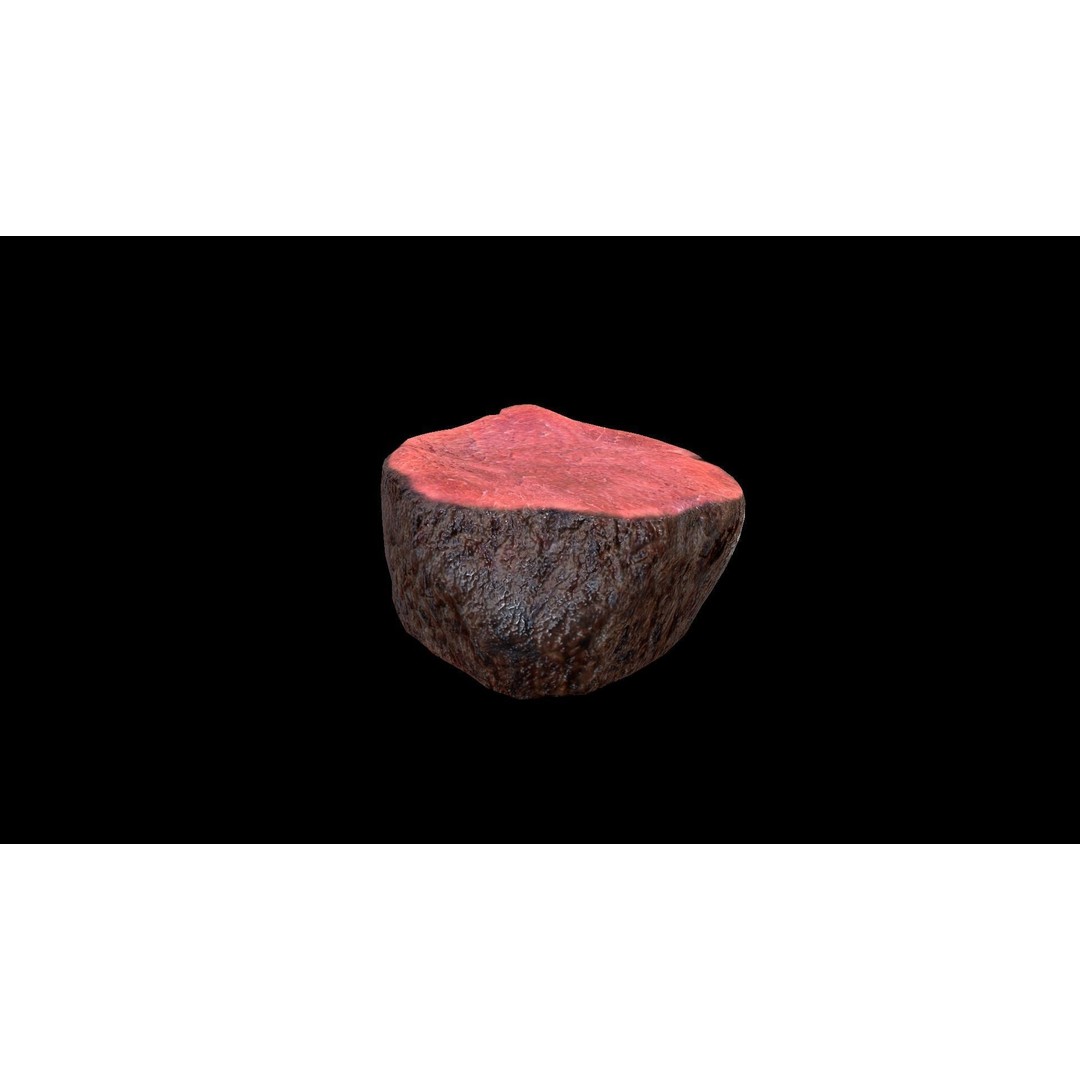 Beef Loin Medallion 3D Model – Low Poly Game Asset, FBX - View 5