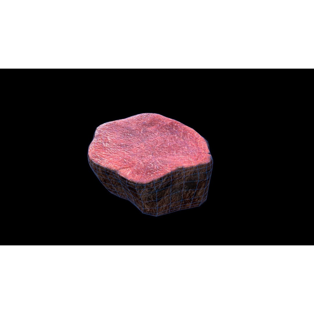 Beef Loin Medallion 3D Model – Low Poly Game Asset, FBX - View 8