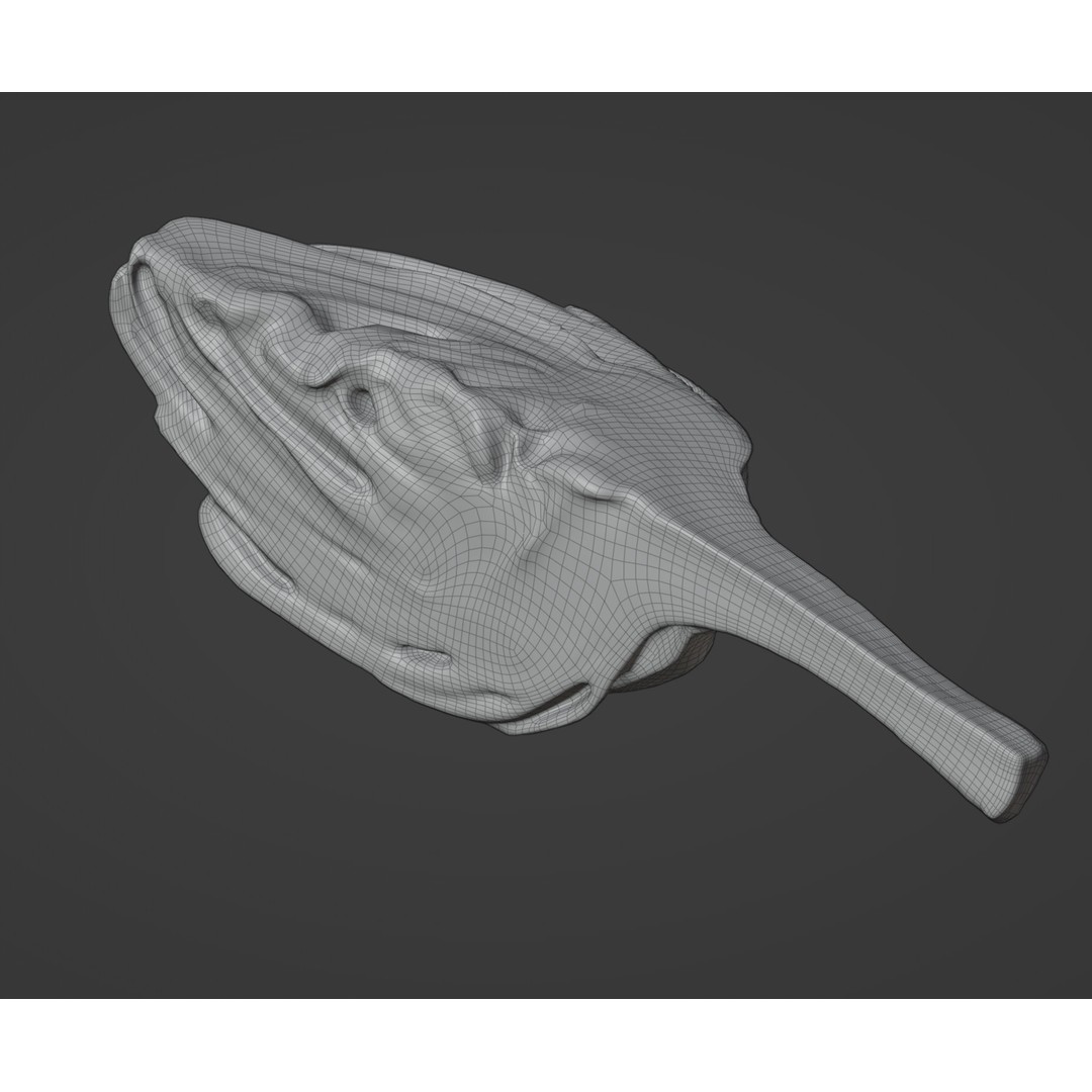 Artichoke 3D Model – Low Poly Photogrammetry Asset, FBX, OBJ, Blender - View 9