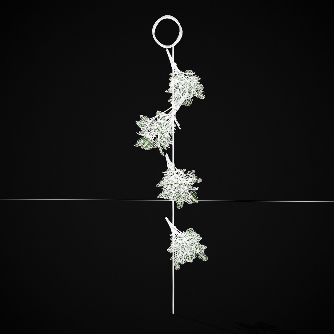 Hanging Parsley 3D Model – Low Poly PBR Vegetable Asset, FBX & OBJ