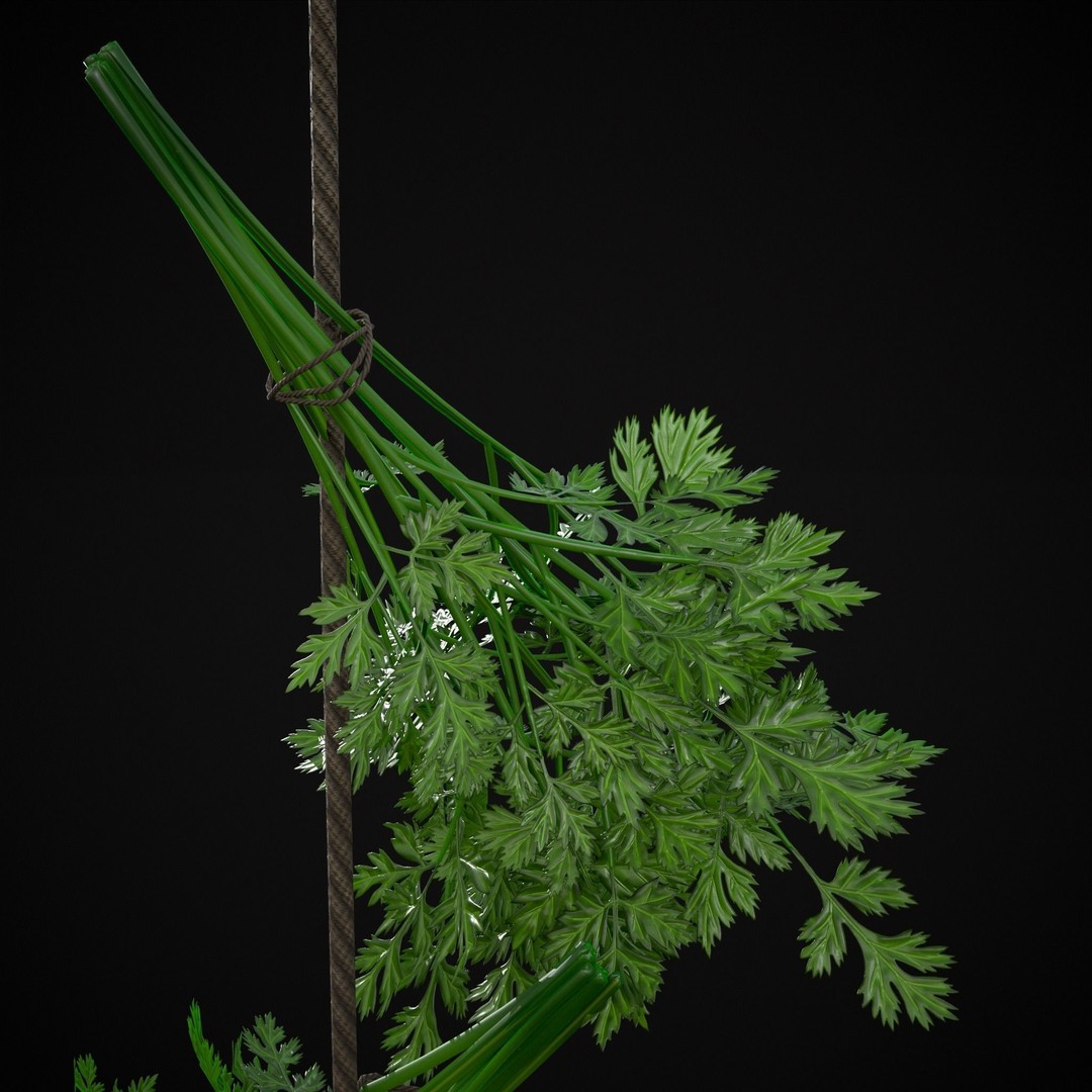 Hanging Parsley 3D Model – Low Poly PBR Vegetable Asset, FBX & OBJ - View 12