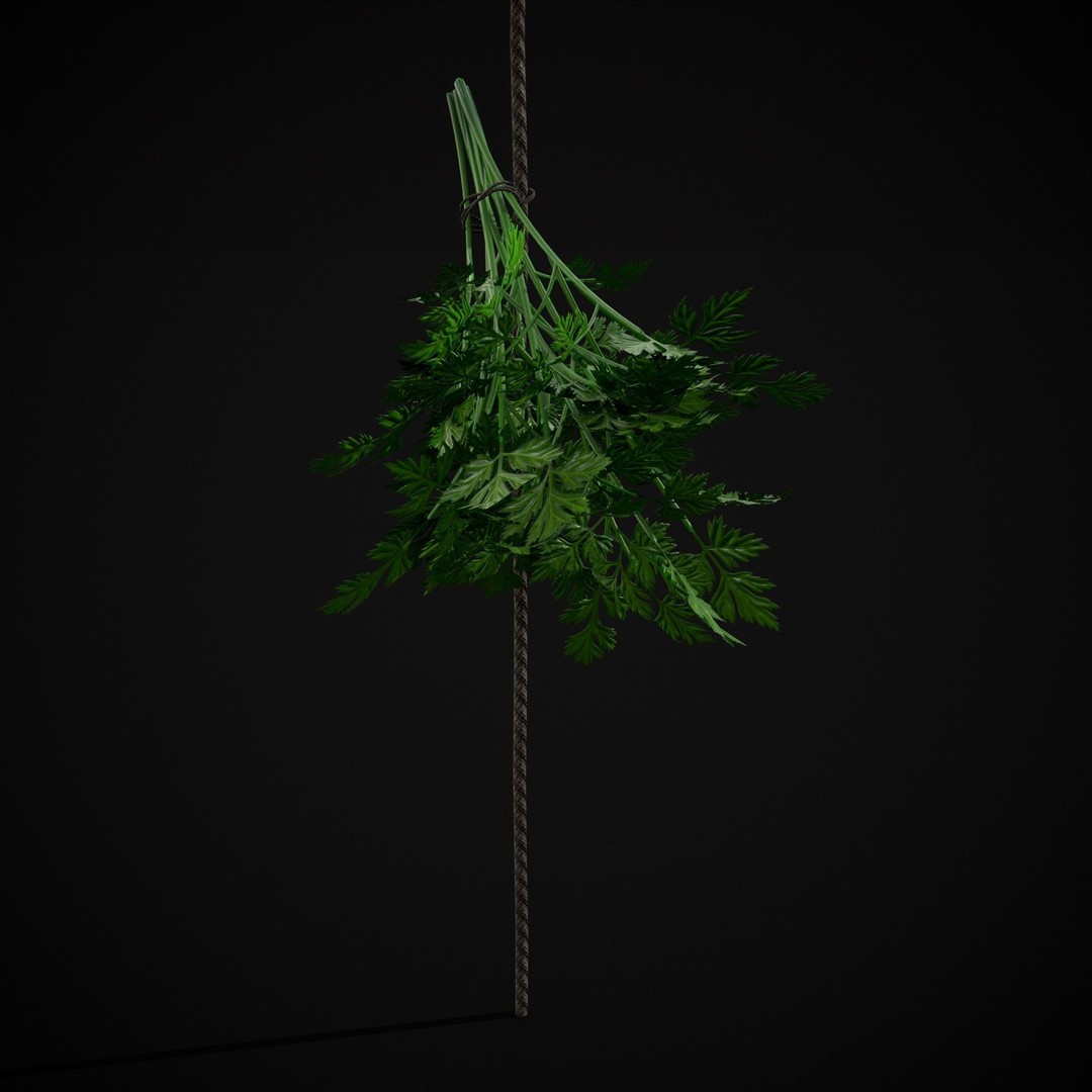 Hanging Parsley 3D Model – Low Poly PBR Vegetable Asset, FBX & OBJ - View 18