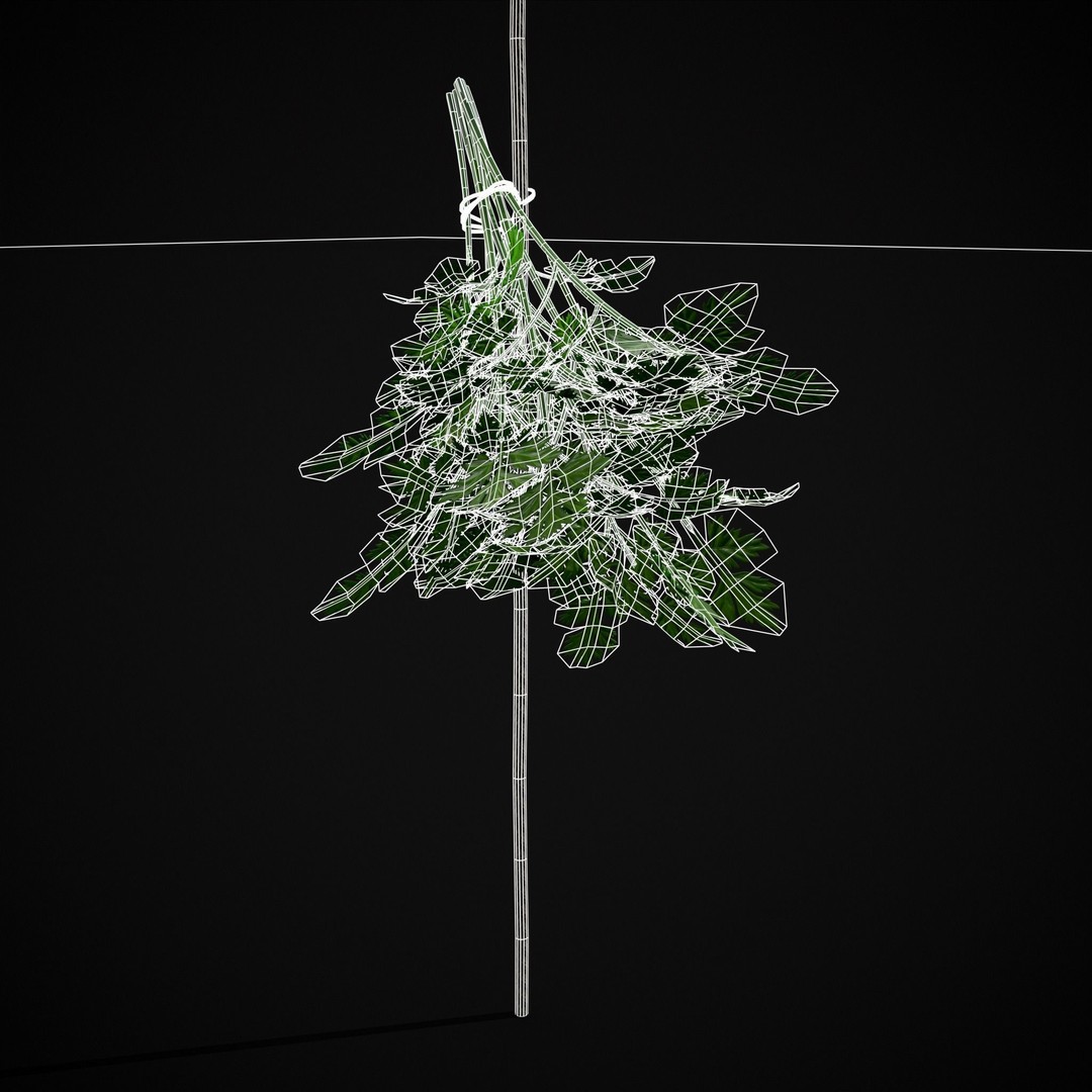 Hanging Parsley 3D Model – Low Poly PBR Vegetable Asset, FBX & OBJ - View 19