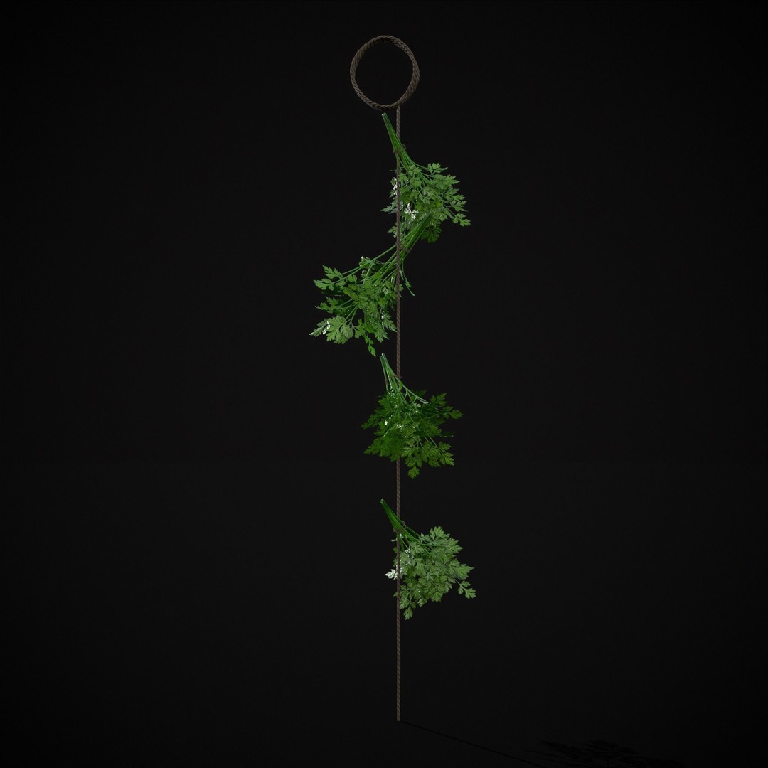 Hanging Parsley 3D Model – Low Poly PBR Vegetable Asset, FBX & OBJ - View 20