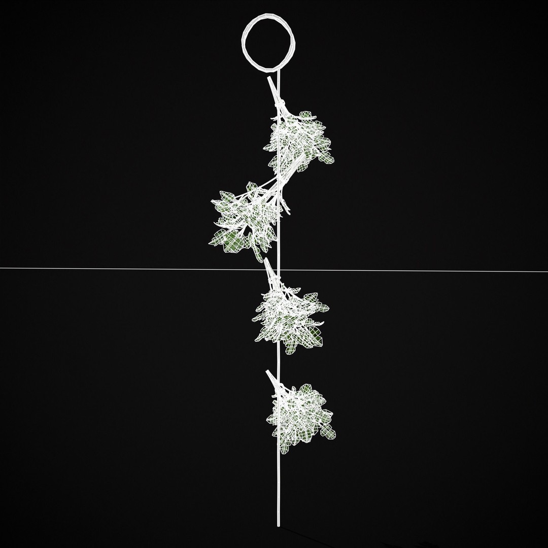 Hanging Parsley 3D Model – Low Poly PBR Vegetable Asset, FBX & OBJ - View 3
