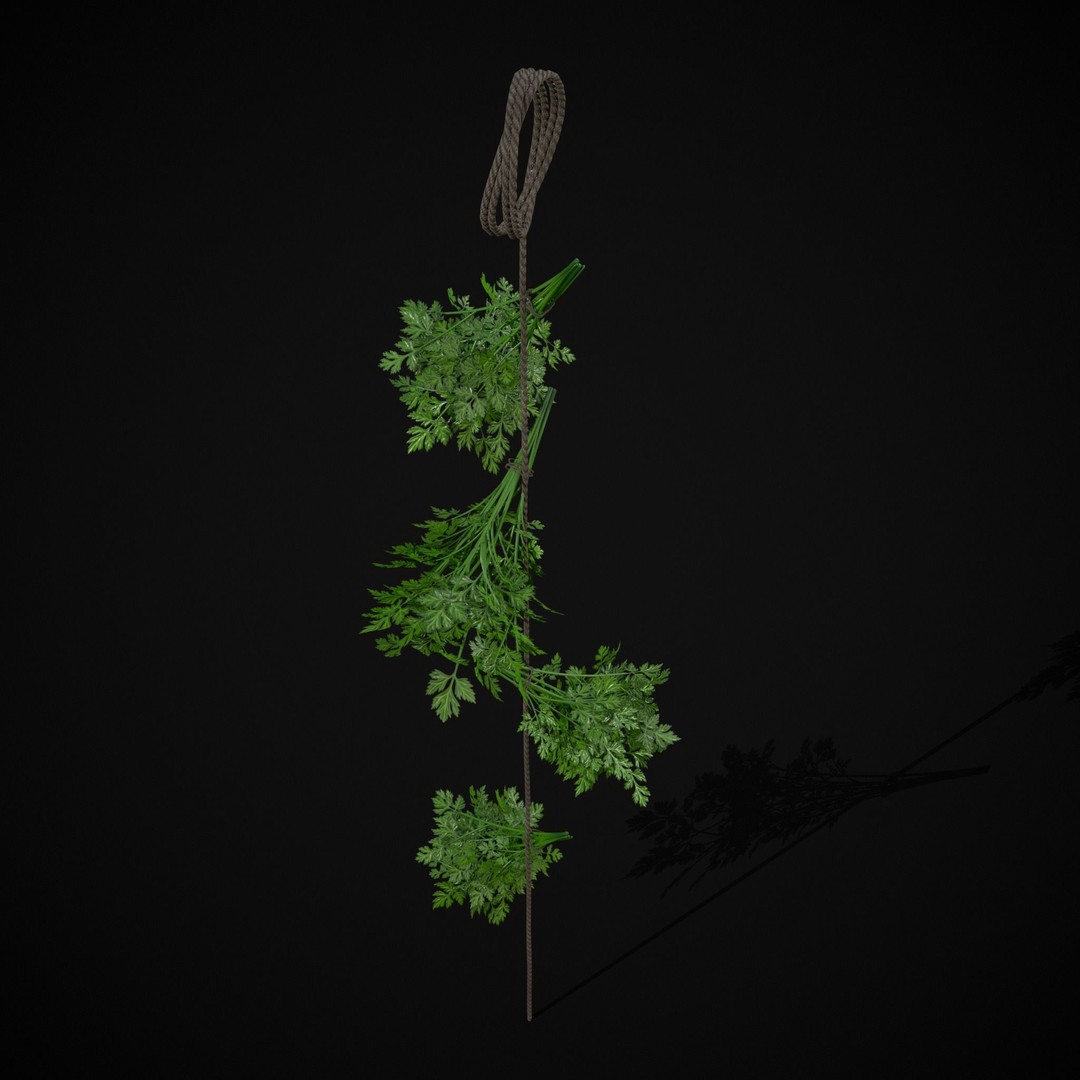 Hanging Parsley 3D Model – Low Poly PBR Vegetable Asset, FBX & OBJ - View 4