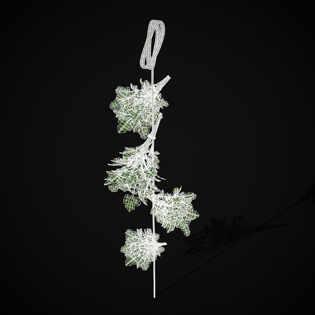 Hanging Parsley 3D Model – Low Poly PBR Vegetable Asset, FBX & OBJ - View 5
