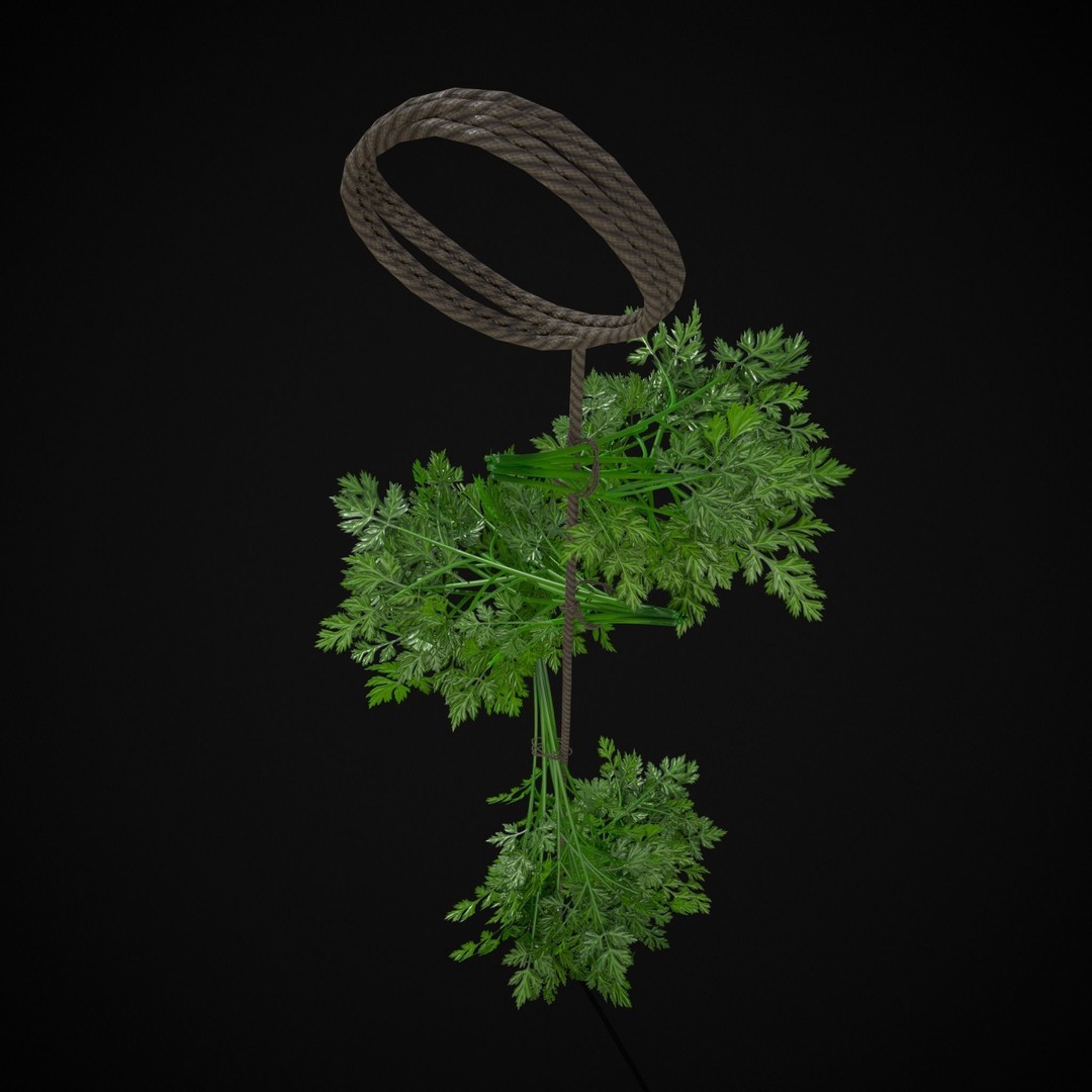 Hanging Parsley 3D Model – Low Poly PBR Vegetable Asset, FBX & OBJ - View 6