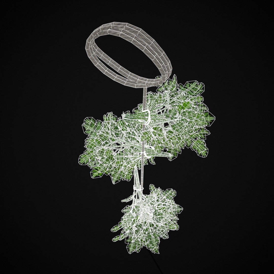 Hanging Parsley 3D Model – Low Poly PBR Vegetable Asset, FBX & OBJ - View 7