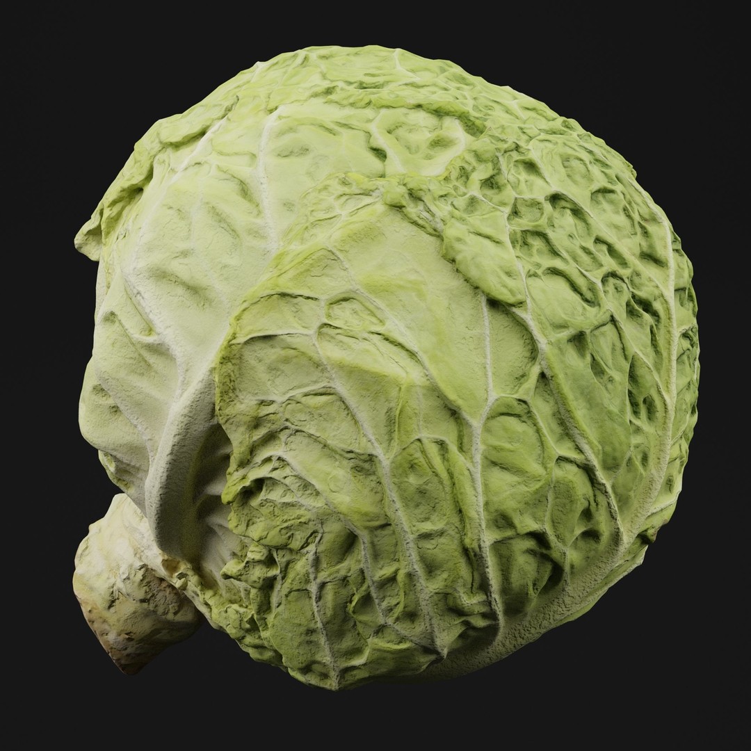 Cabbage 3D Model – Realistic PBR Vegetable Asset, FBX, OBJ, Blender