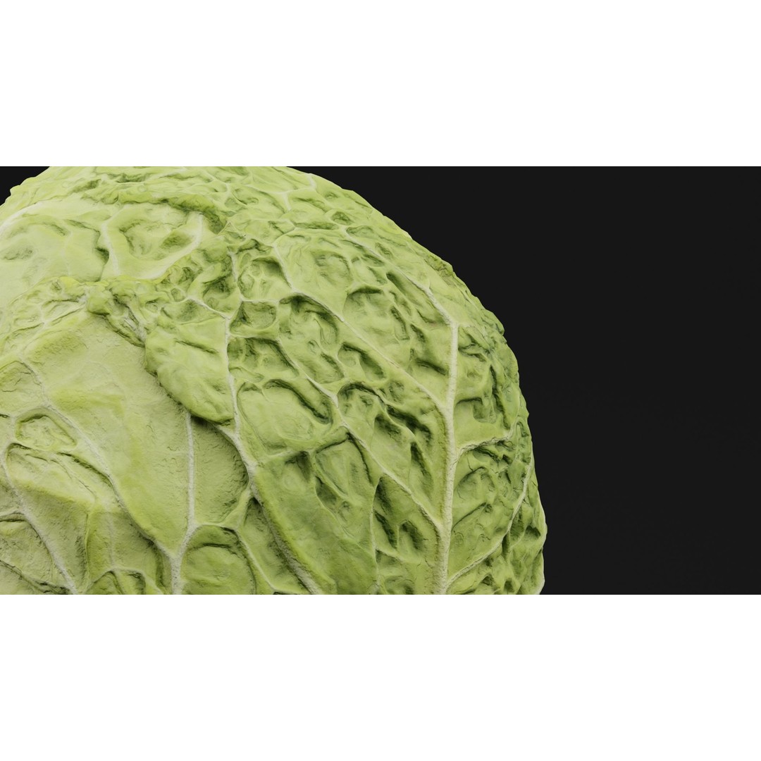 Cabbage 3D Model – Realistic PBR Vegetable Asset, FBX, OBJ, Blender - View 3