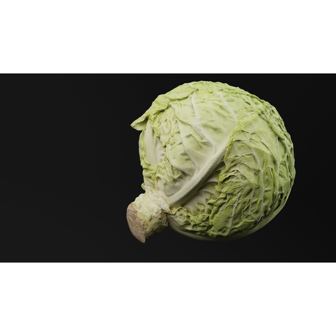 Cabbage 3D Model – Realistic PBR Vegetable Asset, FBX, OBJ, Blender - View 5