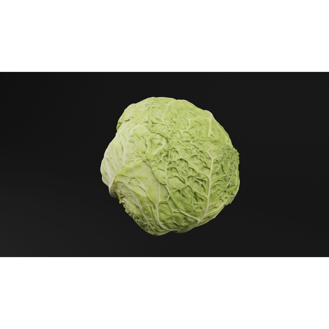 Cabbage 3D Model – Realistic PBR Vegetable Asset, FBX, OBJ, Blender - View 6