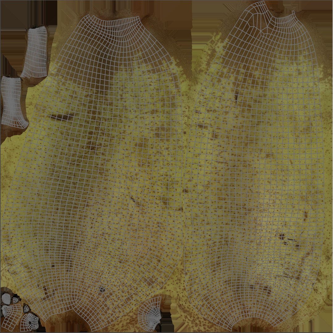 Pears Set 02 3D Model – Low Poly Fruits with PBR Textures, FBX & OBJ