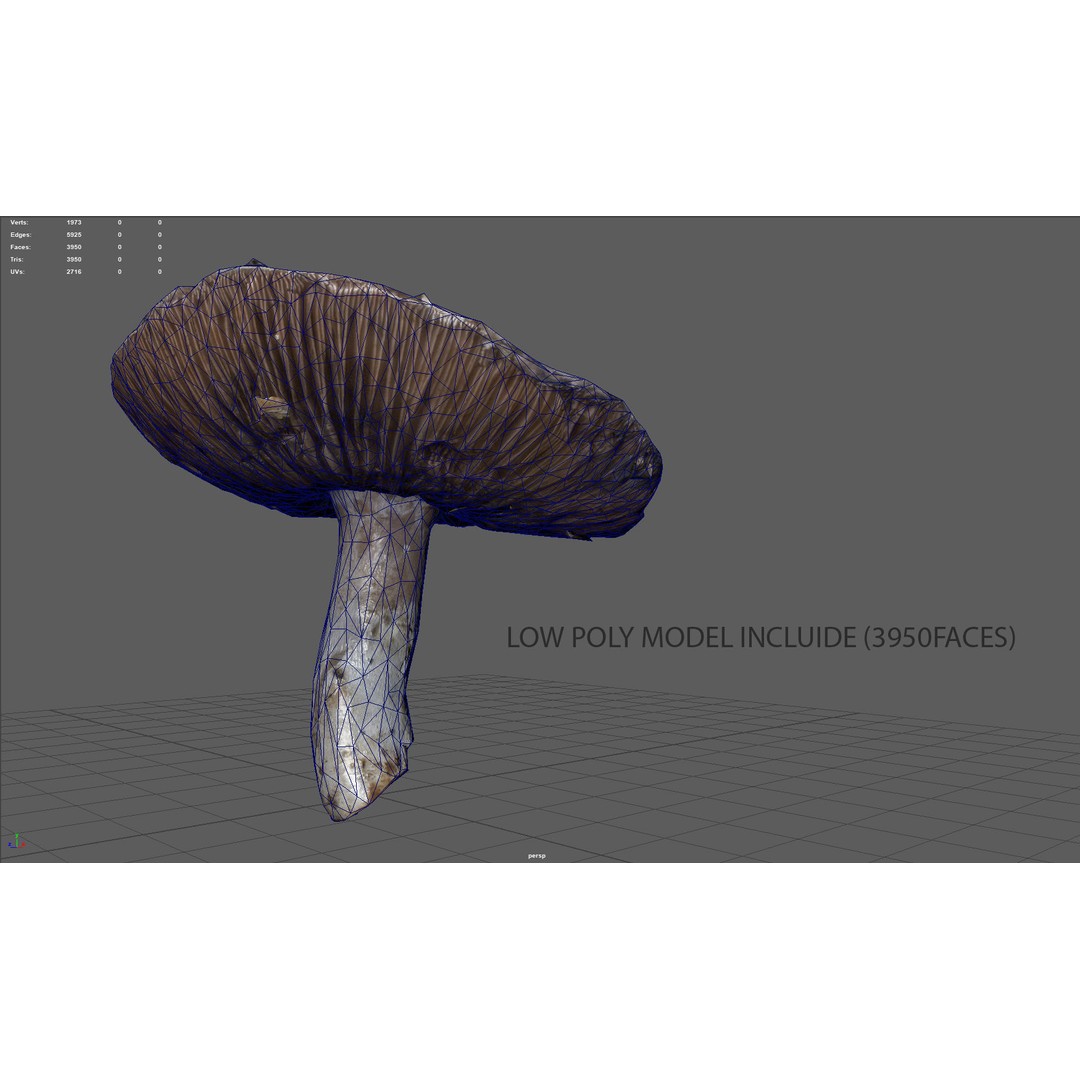 Mushroom 3D Model – Low Poly Nature Asset, PBR Textures, FBX