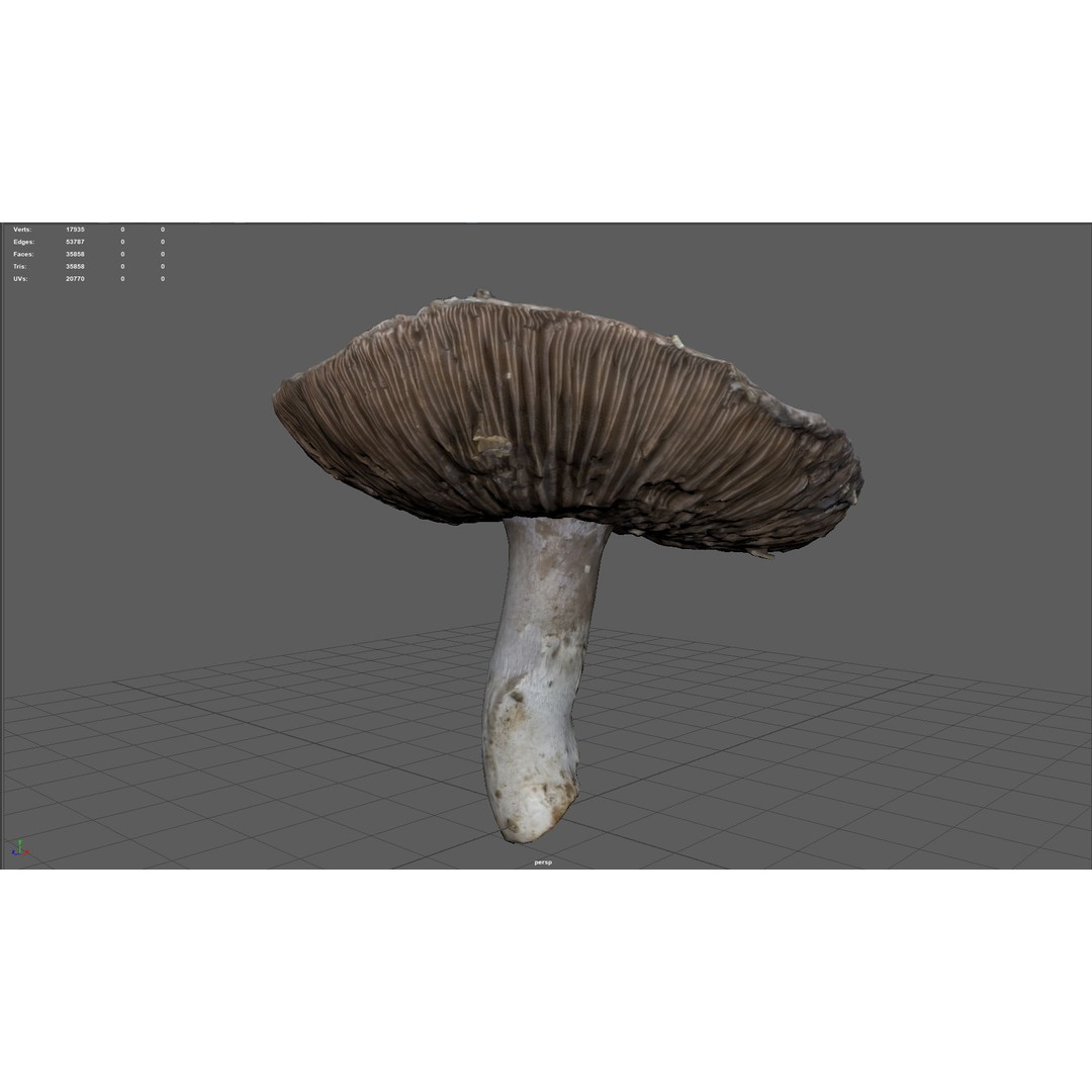 Mushroom 3D Model – Low Poly Nature Asset, PBR Textures, FBX - View 14