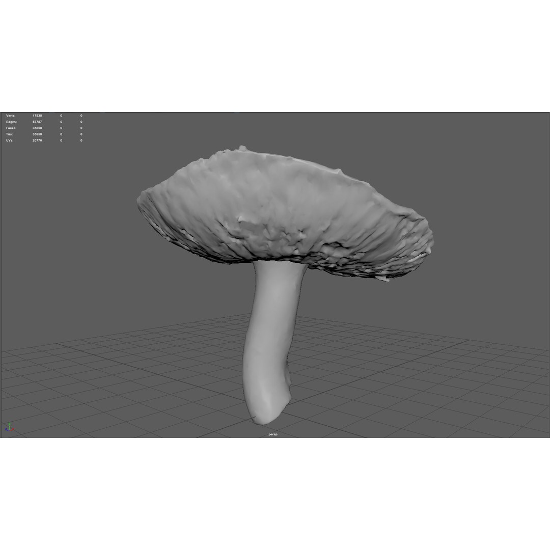 Mushroom 3D Model – Low Poly Nature Asset, PBR Textures, FBX - View 15