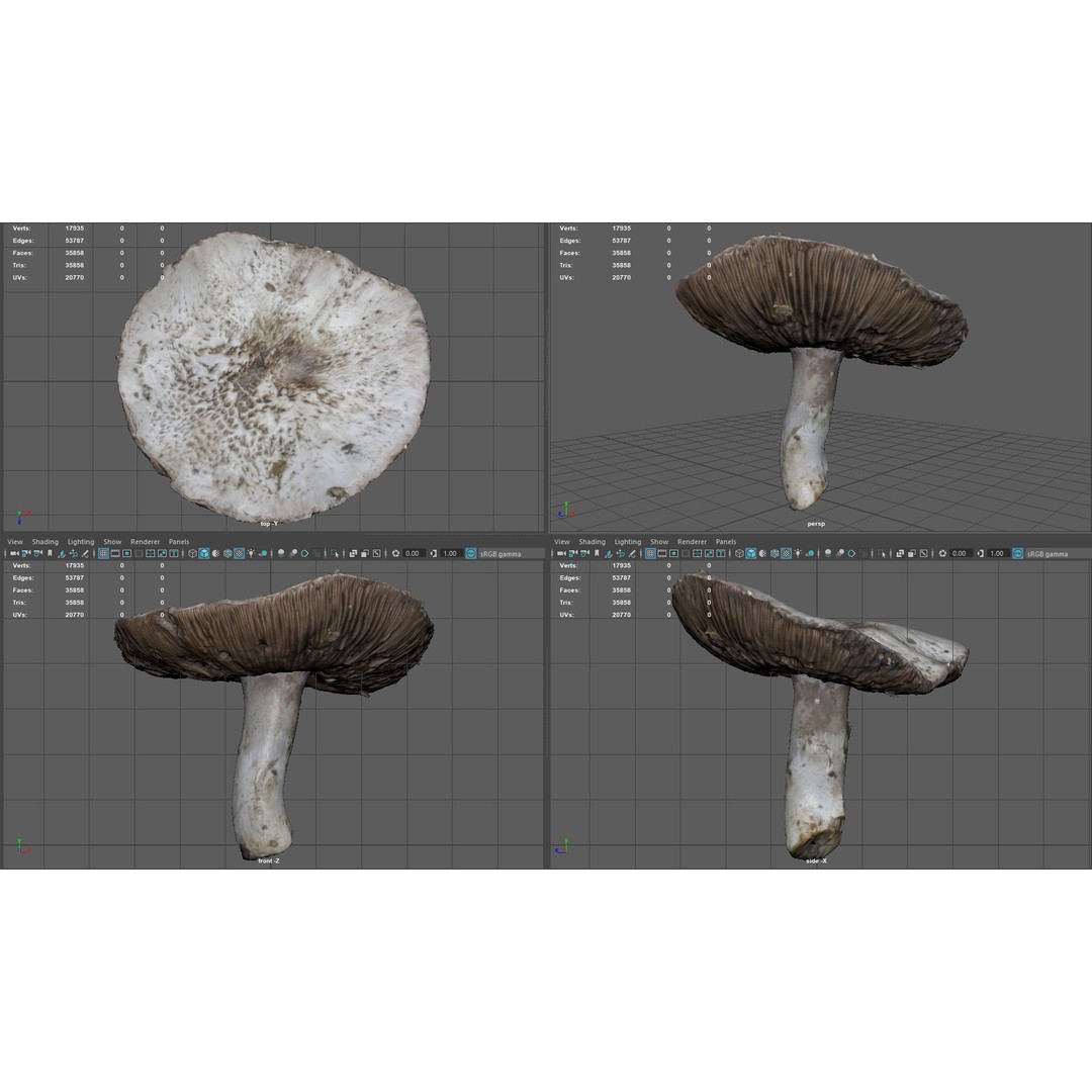 Mushroom 3D Model – Low Poly Nature Asset, PBR Textures, FBX - View 17